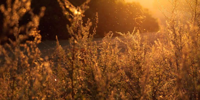 汽车保养新思路：底盘装甲喷涂，为爱车长途旅行保驾护航的终极攻略