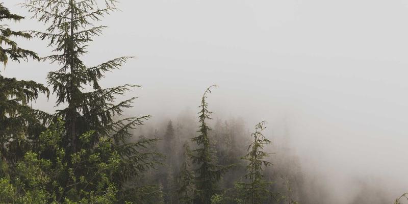 汽车延保服务购买全解析：如何避坑并选择最适合的保障方案，让自驾旅行更安心