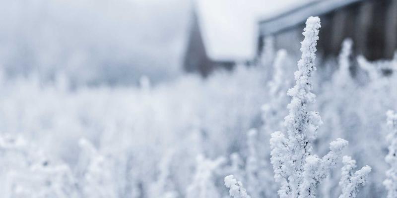 汽车服务87：融合维修保养与旅行攻略的现代车主指南