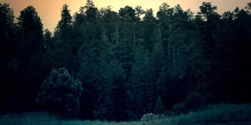 自驾出行必读：自动变速箱换油周期与方式详解，重力换油与循环机换油优劣全对比