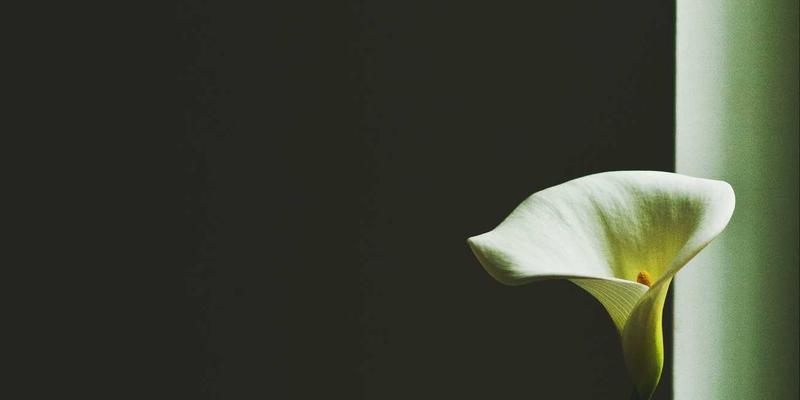 自驾旅行全攻略：从路线规划到汽车维修的完整服务评测