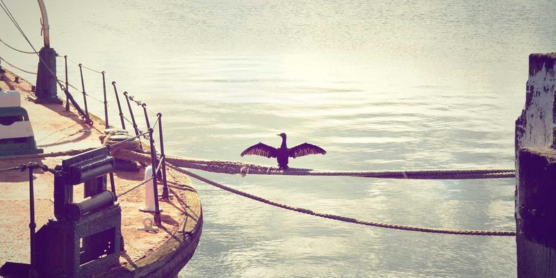 自驾游全攻略：精选路线与专业汽车服务，让旅途无忧