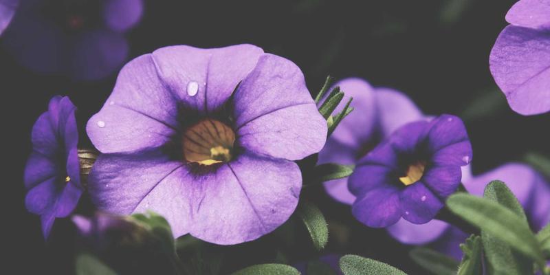 自驾游必备指南：汽车悬挂系统检查与常见异响诊断处理方案