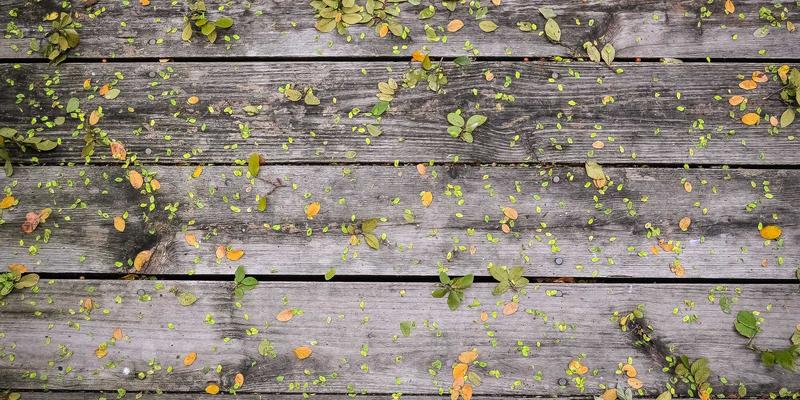 自驾游必备：汽车空调深度清洁与养护全攻略，告别异味提升制冷效率